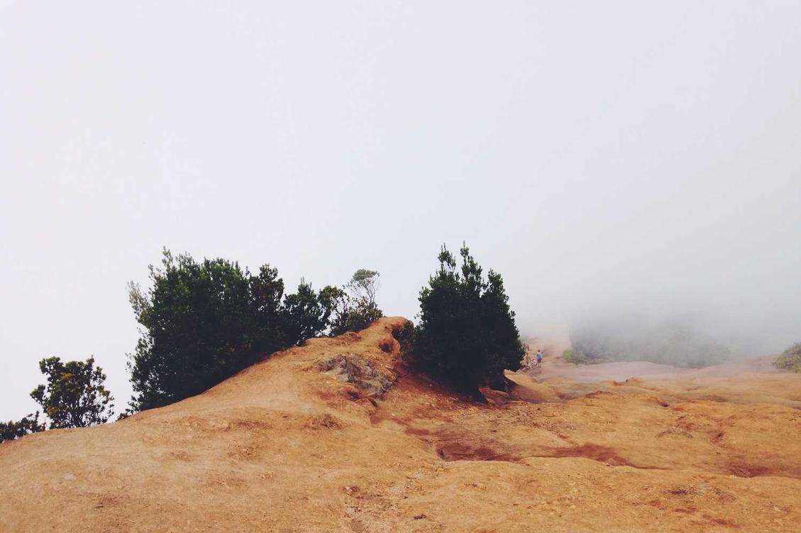 Provident cumque accusantium molestias